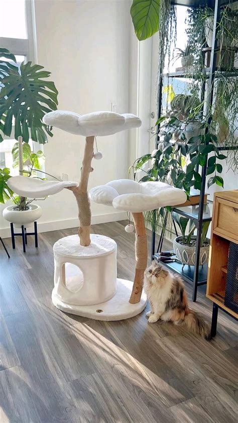 Modern cat tree.  Discover key features, eco-friendly options, space-saving solutions, bud...