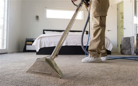 Since 1973, Michigan home and business owners have trusted Modernistic as the #1 choice for Carpet Cleaning, Air Duct Cleaning, Flood and Fire Damage Restoration, and more! Your 100% delight is our top priority, and our caring team members will be sure to deliver expert, quality service that makes you smile.. 