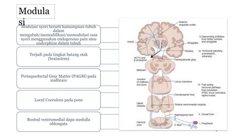 Modulasi: 301 Moved Permanently image 1