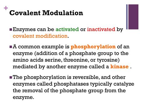 Modulation By Covalent Modification