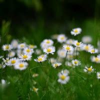 Mogadore obituaries. .  <a href=https://intranet.hemominas.mg.gov.br/cache/okkcks9/fanagans-f...