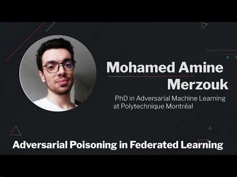 Mohamed Amine Merzouk - Teaching Assistant - LinkedIn