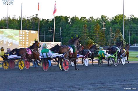 Keith Cassell's Poseidon Seelster led an 11-race qualifying session on Friday morning (July 5) at Woodbine Mohawk Park with a 1:57 mile, the fastest of 71 two-year-olds to set foot on the track.. 