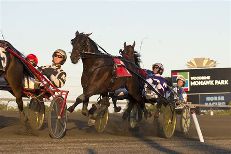 A trio of juvenile pacers either met or beat the 1:55 mark in Friday's (June 28) 12-race qualifying session at Woodbine Mohawk Park, dedicated entirely to two-year-old colts and geldings.. 