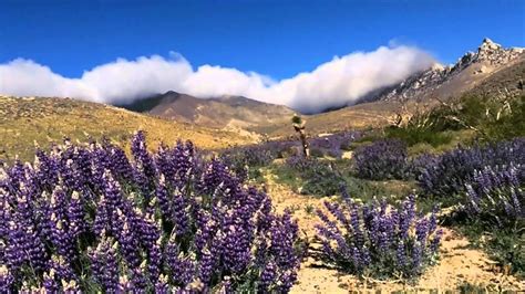 Mojave, California - YouTube