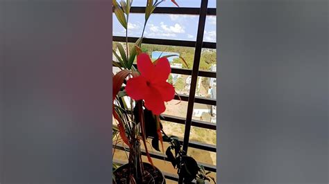 💦 Moka🌺 Leaked XXX 208 Pics