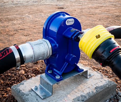 Molasses Gear Pump Pumps & Couplings