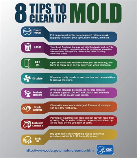 Mold Management Tips for Tenants and Landlords