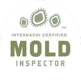 Mold Remediation in Charlotte, NC - Green Home Solutions