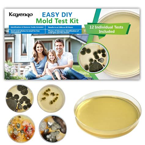Mold Test Kit for Home 12 Simple Detection Tests,Test HVAC System