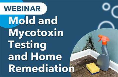 Mold and Mycotoxin Testing and Home Remediation at Real Time