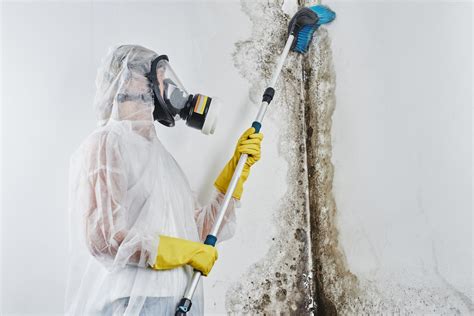 Mold cleaning service. Let sit for five minutes, then scrub. Give the water bleach solution time to penetrate the moldy spots, then move the sponge or brush in small circles to gently agitate the area. Rinse completely ... 