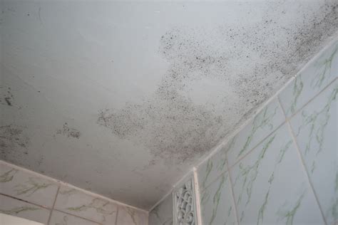 Mold in bathroom ceiling. Key Steps to Fighting Bathroom Mould: When cleaning mould on a bathroom ceiling, remember these steps: 1. Use Domestos Thick Bleach and water to remove marks. 2. Spray white vinegar to kill the mould. 3. Wash down the wall before letting it dry thoroughly. Warm and damp: bathrooms are the ideal breeding ground for mould … 