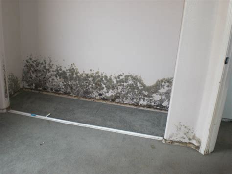Mold in closet. Mold growing in your home is not only annoying, they can also be the cause for skin and respiratory allergies when you come in touch with the spores. When mold starts growing in your closet and affecting your clothes, the chances of getting allergic reactions increase. Find out how to prevent the growth of mold in your closet through our 7 tips! 