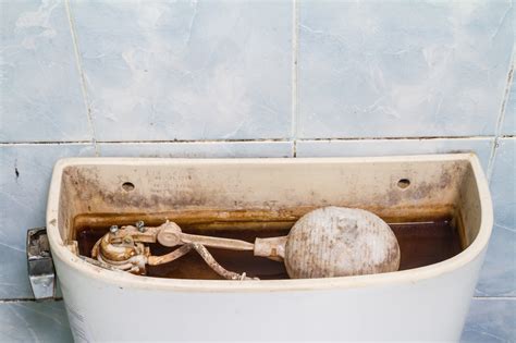 Mold in toilet. Mineral deposits. – Black stains and deposits in toilet and other fixtures. – Clean the tank and bowl thoroughly. – consider installing a water softener to remove minerals. Mold. – Black rings in toilet bowl. – Mold-like black growth on surfaces ofthe toilet. – Clean toilet thoroughly and regularly. Rusty pipes. 