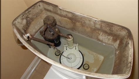 Mold in toilet tank. Watch on. The inside of your toilet tank may be dark because it is made of porous materials that can absorb dirt and soil. The dark color can come from mold and mildew, which can feed on the porous material leading to discoloration. In some cases, a dark resin may have been added to the area between the tank and bowl to stop leaks. 