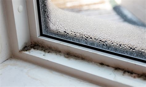 Mold on window sill. Remove the black mold by wiping it off slowly. Clean all visible black mold from window sills and other affected areas. Disposing of the paper towels. Put used paper towels in a plastic bag. Seal the plastic bag tightly to prevent mold spores from escaping into the air. Make a solution of bleach and water. 