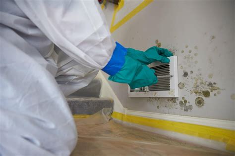 Mold remediation and. DR-4339-PR FS 013. Release Date: October 24, 2017. After a natural disaster such as a hurricane or flood, excess moisture and water can contribute to the growth of mold in homes. If your home was flooded or damaged by water, mold may be present and may pose a health risk. You may see or smell mold on clothing, drywall, and … 