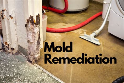 Mold removal upper providence montgomery pa.  Mold Removal Services of Upp...