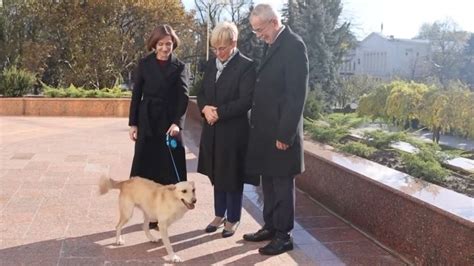 Moldova’s first dog nips Austrian president on the hand during official visit