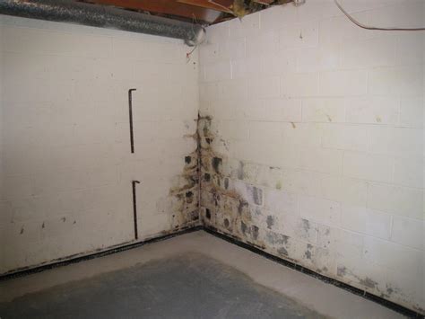 Moldy basement. Air conditioning: Run an air conditioner or install one in the basement to cool the air and remove moisture. Your air conditioner also filters the air to protect against dust and mold. Air ... 