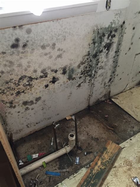Moldy drywall. Identify mold on drywall by looking for discoloration and a musty smell. Prep the area by removing items and covering immovable objects with … 