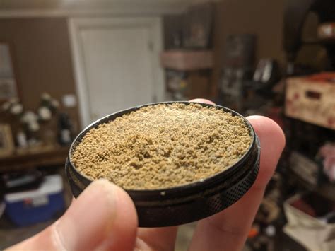 Kief can be left in its natural form and sprinkled onto flower