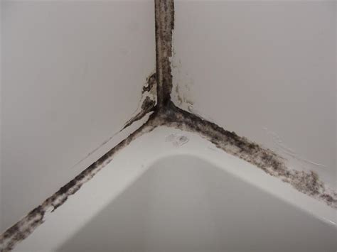 Moldy shower caulk... fixed! Structure Tech Home Inspections