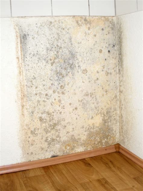 Moldy walls. Discolored spots on the walls and ceiling can also indicate mold, and up close, these spots may appear slimy or fuzzy. Discoloration that manifests as irregular patches of black, green, brown, or ... 