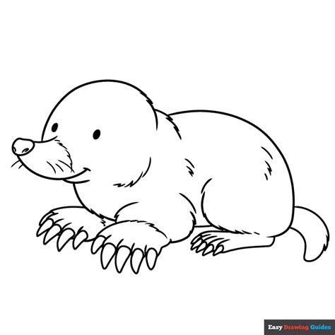 Mole Coloring