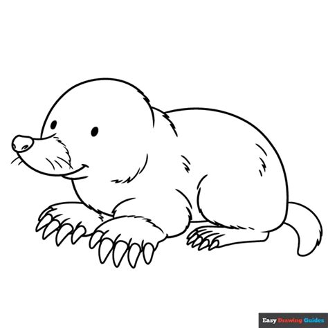Race Track Coloring Page
