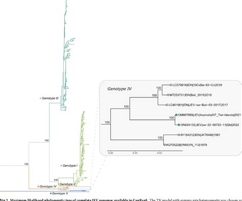 Molecular Detection and Genotyping of Japanese Encephalitis