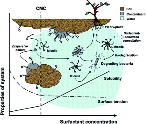 Molecular Transformation of Crude Oil Contaminated Soil after ...