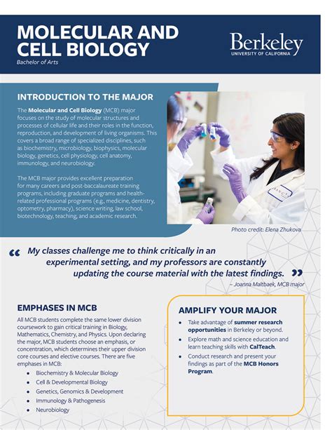 Molecular and cell biology uc berkeley.  Our Department is highly interdisciplinary - compr...