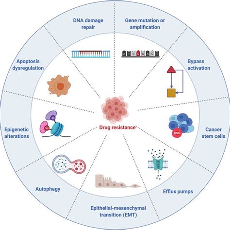 Molecular basis and mechanisms of drug resistance in …