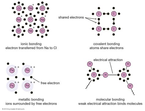 Molecular binding chemistry Britannica