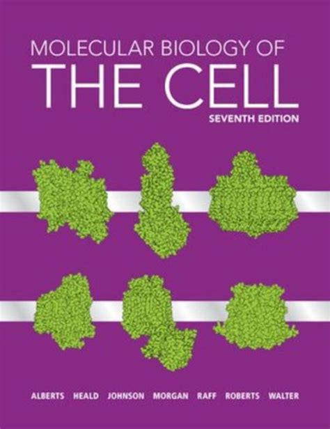 Molecular biology of cell alberts solutions manual. - Magnetycznie miękkie kompozyty proszkowe na osnowie żelaza.