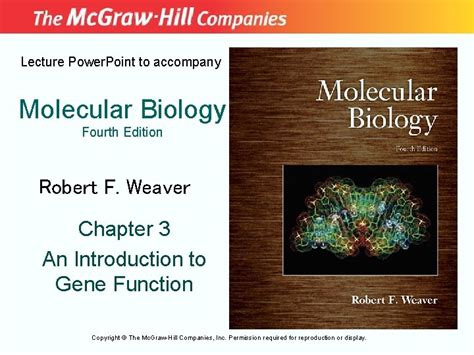 Molecular biology weaver 4th edition solutions manual. - Una guida consapevole delle persone alle relazioni.