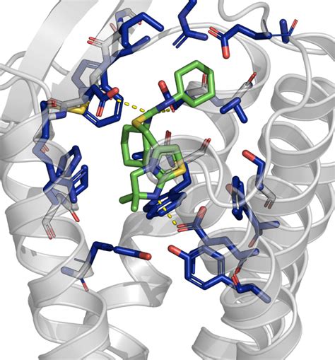 The SeamDock web server intends to provide a free and accessible molecular docking tool, in particular for teaching. SeamDock’s ease of use combined with a complete 3D visualization in a collaborative mode makes it a perfect tool for nonspecialists outside of the molecular modeling community.
