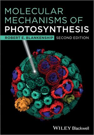 Molecular mechanisms of photosynthesis 2nd edition. - Leccion 5 contextos page 49 answers.