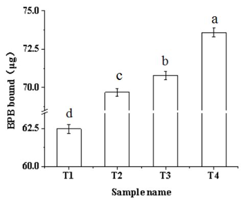 Molecules Free Full-Text Effect of Ultrasound-Assisted Sodium ...