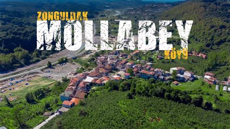 Mollabey Halı ve Koltuk Yıkama