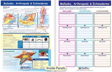 Mollusks arthropods and echinoderm study guide. - Triumph daytona 675 2006 2007 service reparaturanleitung.
