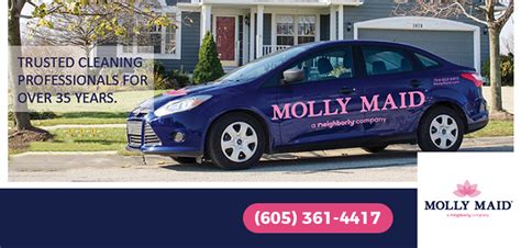 Molly Maid Employee Reviews in Sioux Falls, SD - Indeed