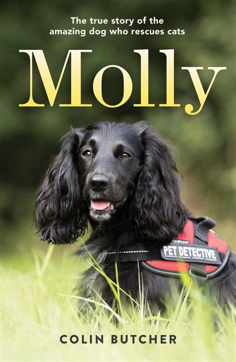 Read Online Molly The True Story Of The Amazing Dog Who Rescues Cats By Colin Butcher
