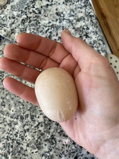 Mollypdx Onlyfans Leak +18 216 Videos