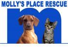 Mollys place rescue. Mollys Place: Mechanicsburg, PA: 4 animals Montgomery County SPCA - Abington Facility: Abington, PA: 21 animals Montgomery County SPCA - Conshohocken Facility & Executive Offices: Conshohocken, PA: 46 animals 