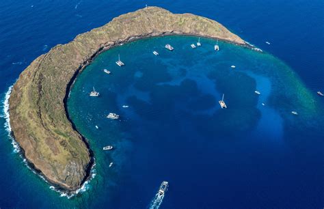 Molokini snorkeling hawaii. Molokini Crater. Journey to Maui’s famous Molokini Crater for a once in a lifetime snorkel experience. Snorkel inside a rare volcanic crater with crystal clear water, beautiful coral reefs. and a variety of marine life. … 