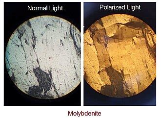 Molybdeniet - Wikipedia