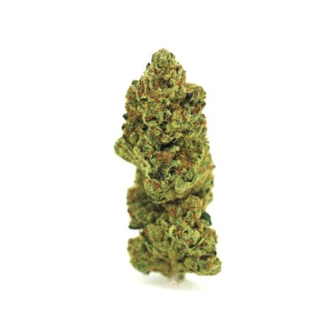 Nine-year-old Dying Breed Seeds’ OZ Kush stays a best-seller. Their 10-packs run $500 each. Based on OZ Kush and hot in 2023—Wizard Trees clones of RS#11 and RS#54, also go for $500 per ...